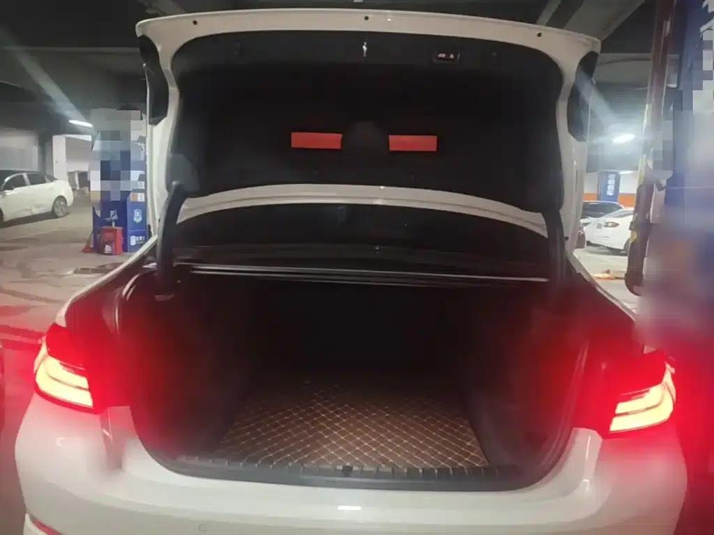 BMW 5 Series 2019 Facelift 530Li Luxury Package — миниатюра 19