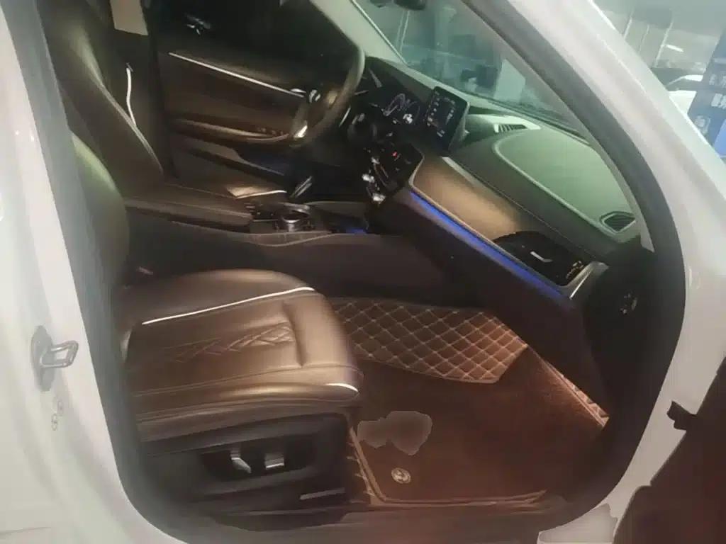 BMW 5 Series 2019 Facelift 530Li Luxury Package — миниатюра 25