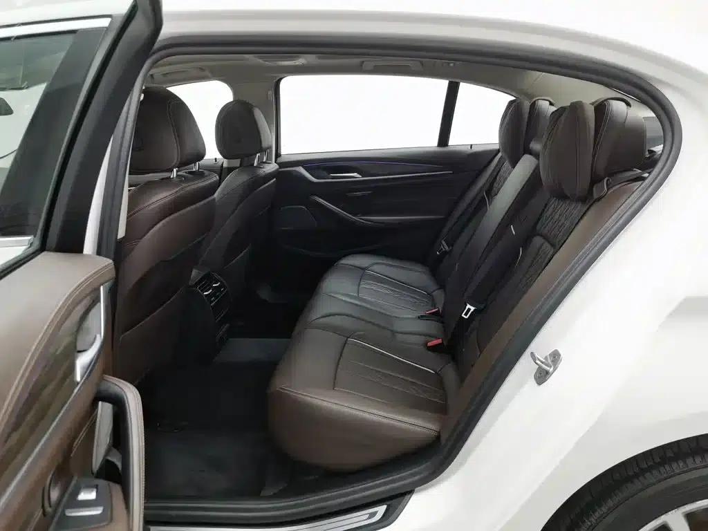 BMW 5 Series PHEV 2020 Mileage Upgrade Edition 530Le Luxury Package — миниатюра 15
