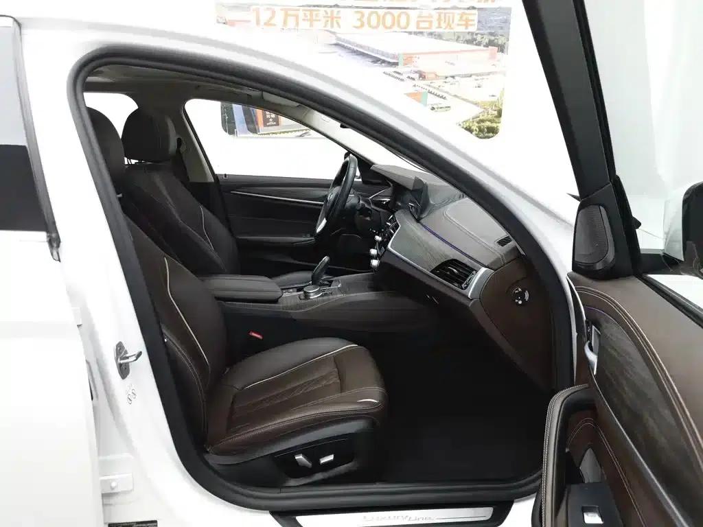 BMW 5 Series PHEV 2020 Mileage Upgrade Edition 530Le Luxury Package — миниатюра 23