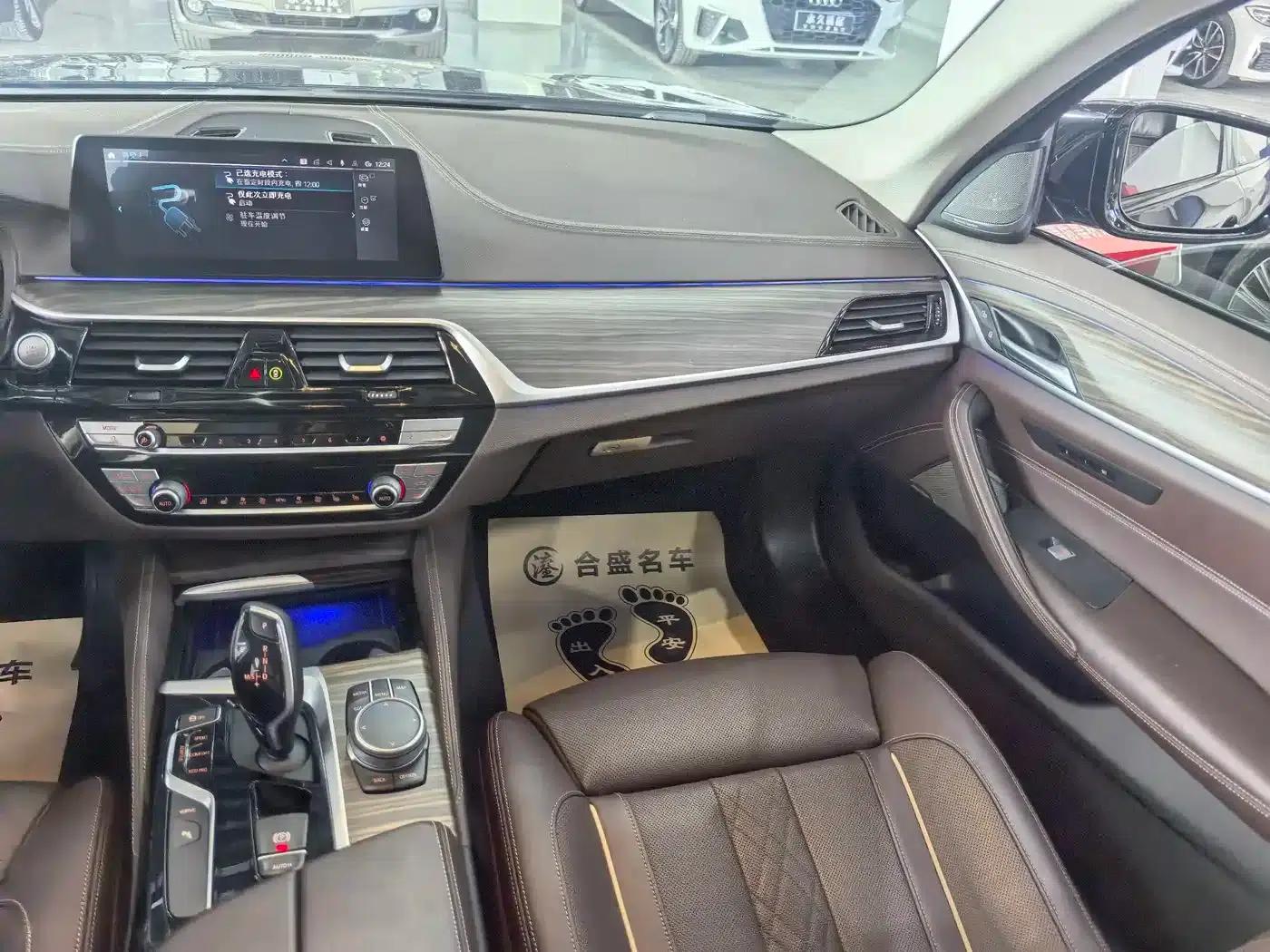 BMW 5 Series PHEV 2020 Mileage Upgrade Edition 530Le Pioneer Edition — миниатюра 15