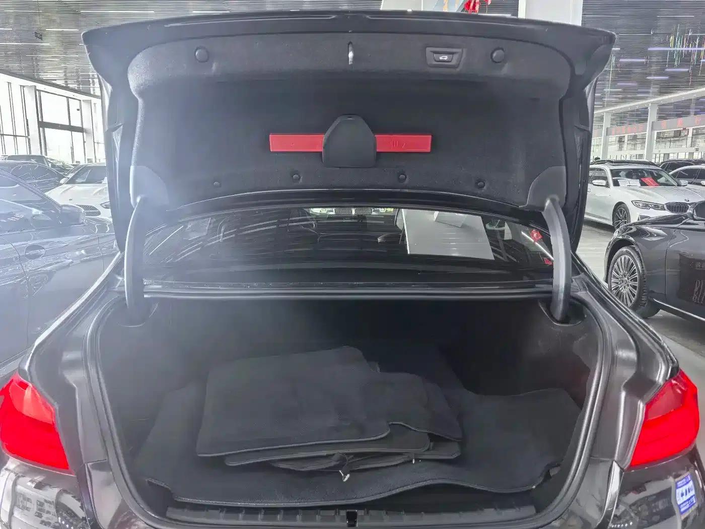 BMW 5 Series PHEV 2020 Mileage Upgrade Edition 530Le Pioneer Edition — миниатюра 17