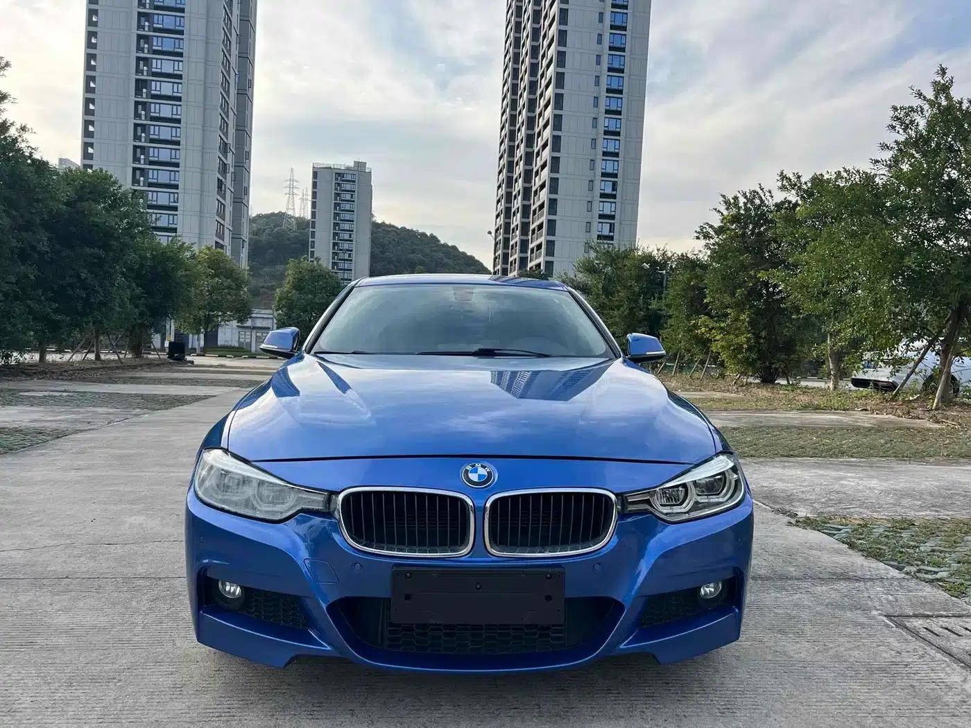 2017 BMW 3 Series 320Li M Sport — миниатюра 2