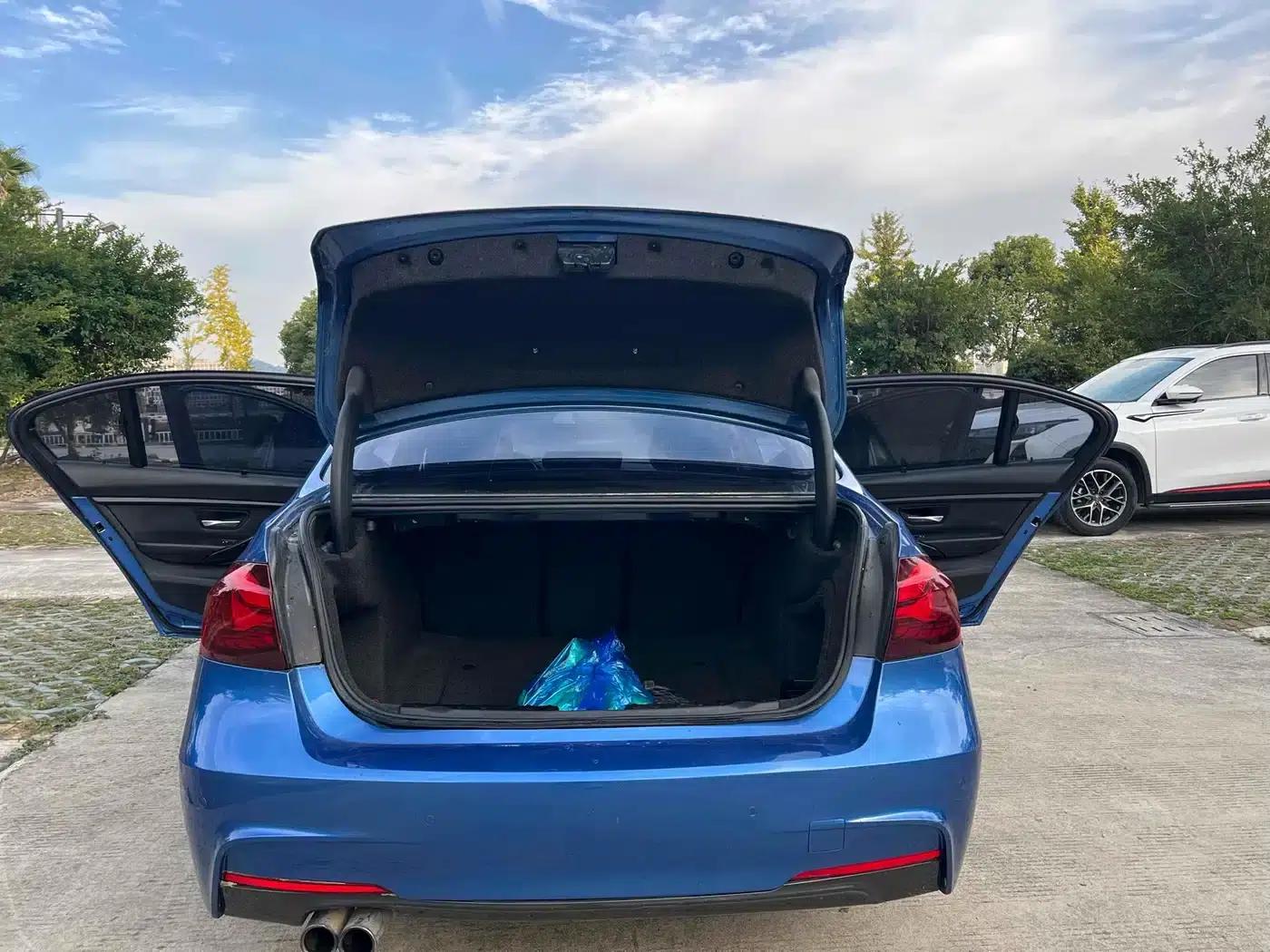 2017 BMW 3 Series 320Li M Sport — миниатюра 17