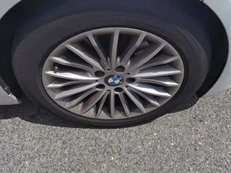 2015 BMW 3 Series 320Li Luxury Design Package — миниатюра 6