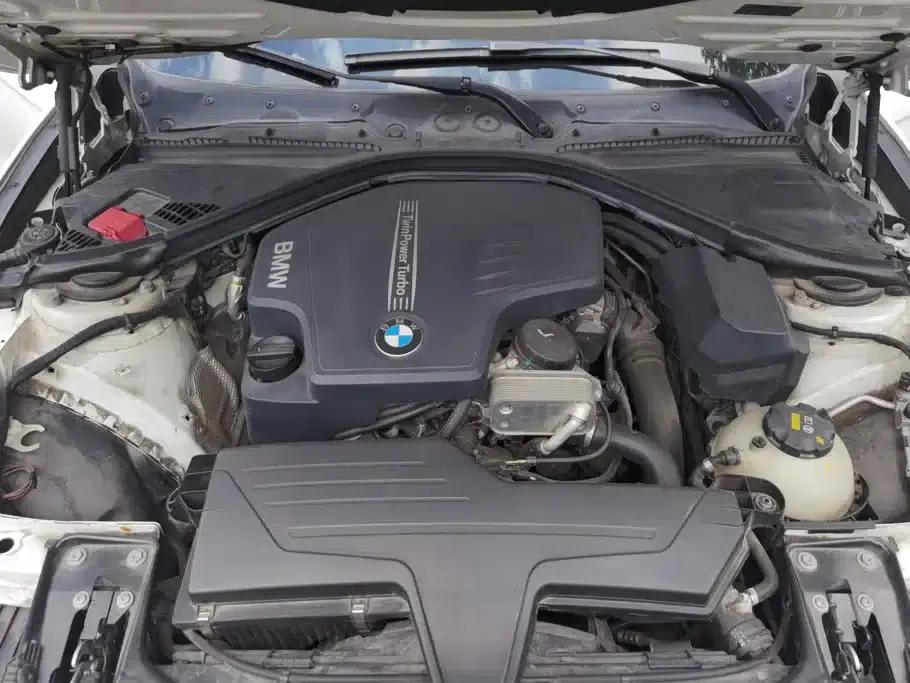 2015 BMW 3 Series 320Li Luxury Design Package — миниатюра 10