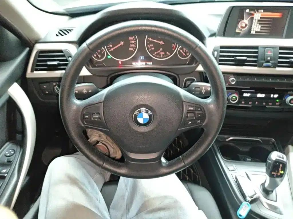 2016 BMW 3 Series 320Li Progressive — миниатюра 11