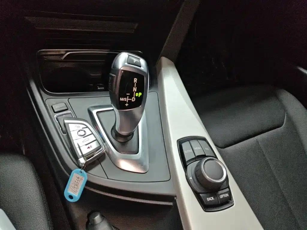 2016 BMW 3 Series 320Li Progressive — миниатюра 14