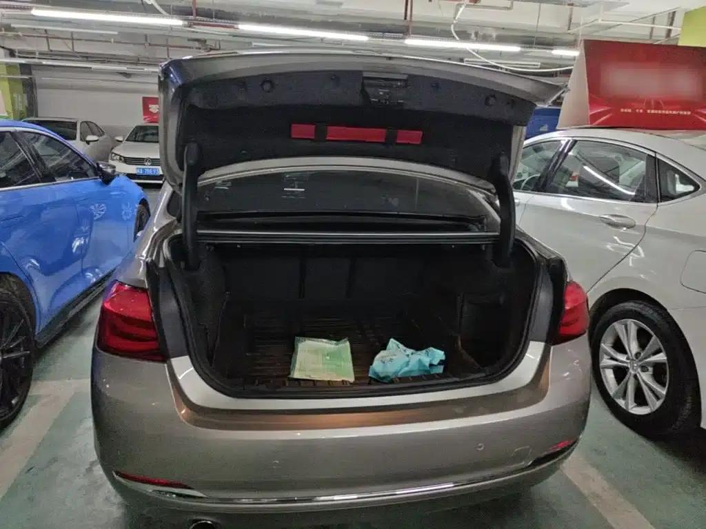 2016 BMW 3 Series 320Li Progressive — миниатюра 19