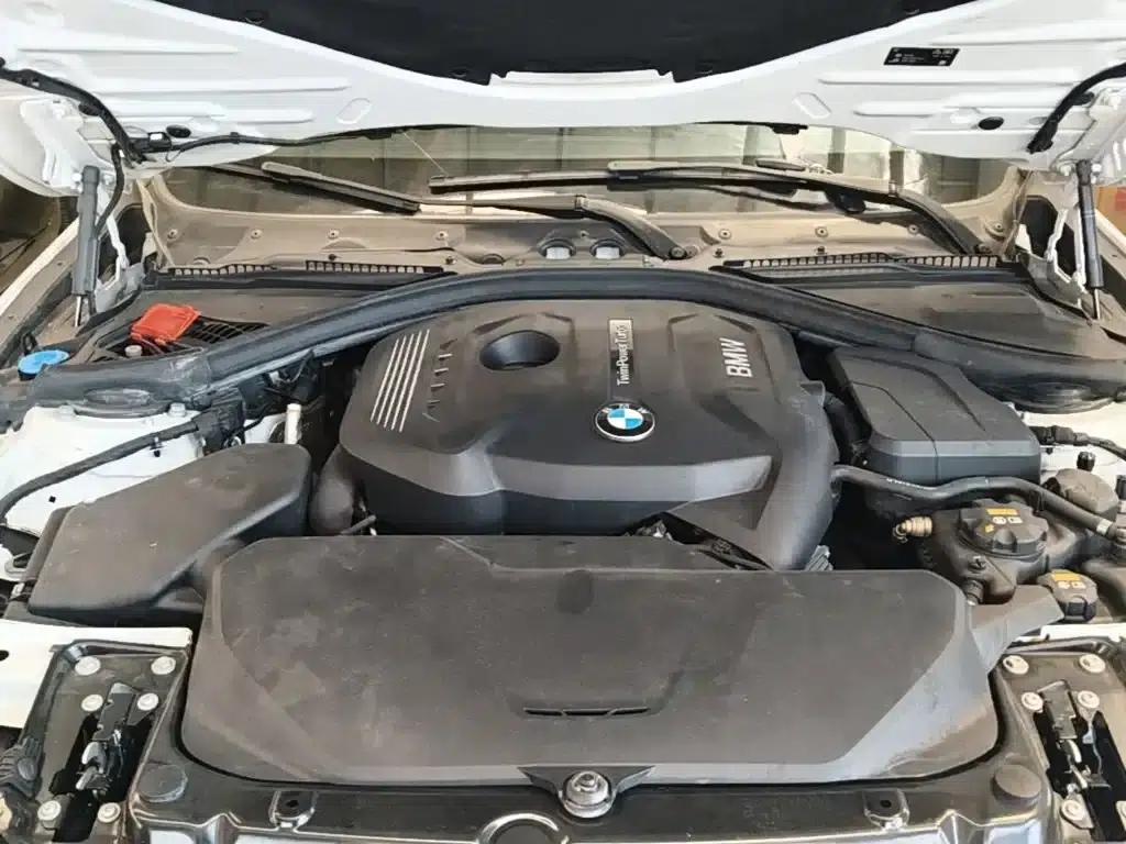 BMW 3 Series 2018 320Li Fashion Edition — миниатюра 16