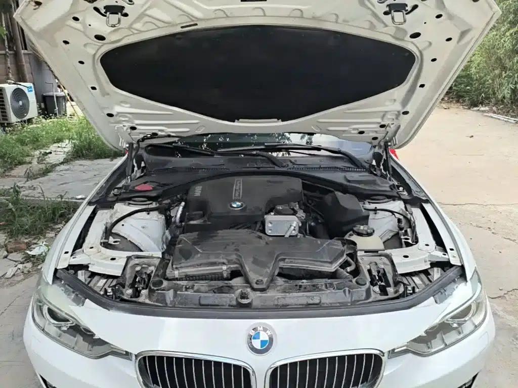 2015 BMW 3 Series 320Li Luxury Design Package — миниатюра 20