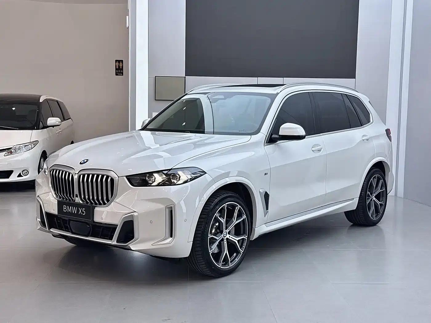 BMW X5 2023 xDrive 30Li Luxury M Sport Package — миниатюра 1