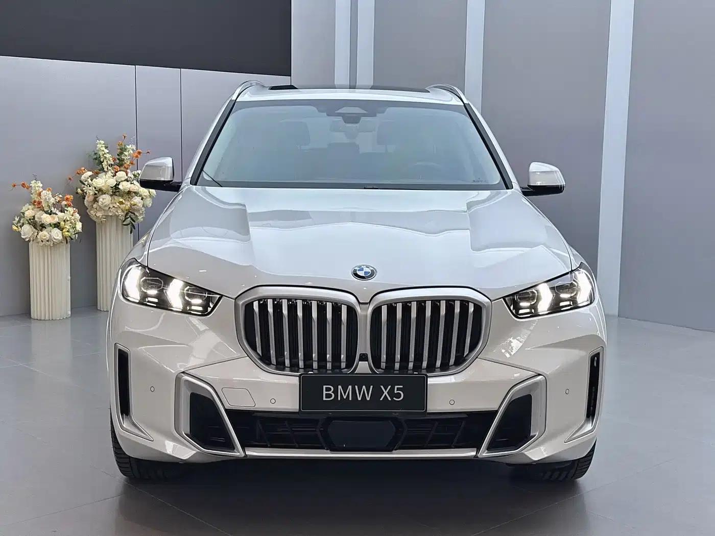 BMW X5 2023 xDrive 30Li Luxury M Sport Package — миниатюра 2