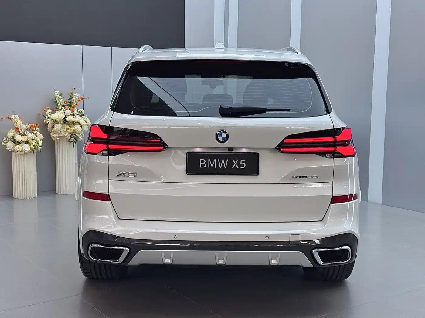 BMW X5 2023 xDrive 30Li Luxury M Sport Package — миниатюра 17