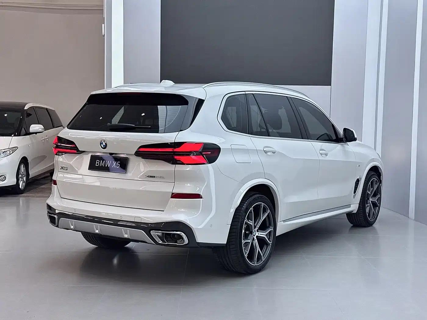BMW X5 2023 xDrive 30Li Luxury M Sport Package — миниатюра 18