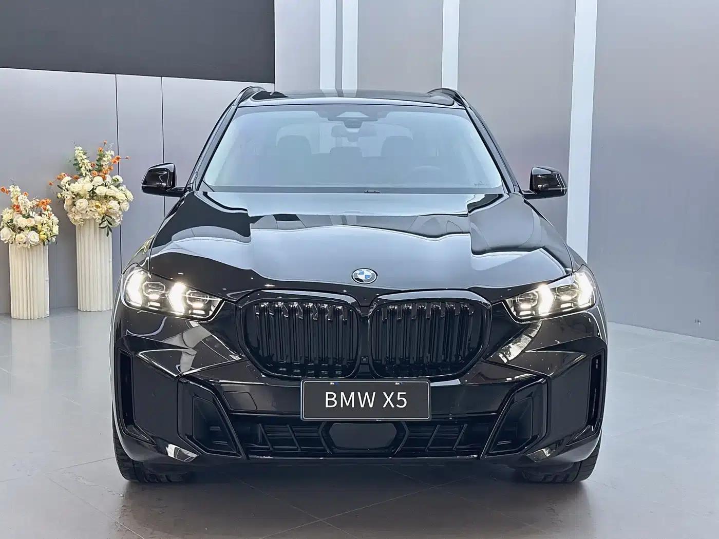 BMW X5 2023 xDrive 30Li M Sport Shadow Edition — миниатюра 2
