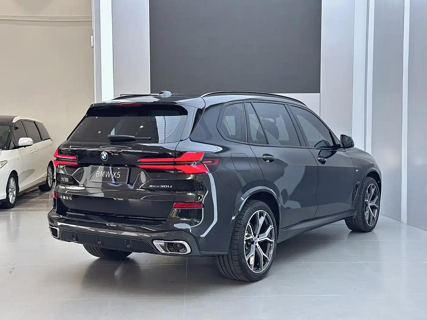 BMW X5 2023 xDrive 30Li M Sport Shadow Edition — миниатюра 18