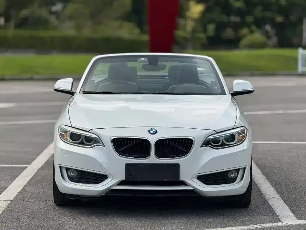2015 BMW 2 Series Imported 220i Convertible Coupe Leading Model — миниатюра 2