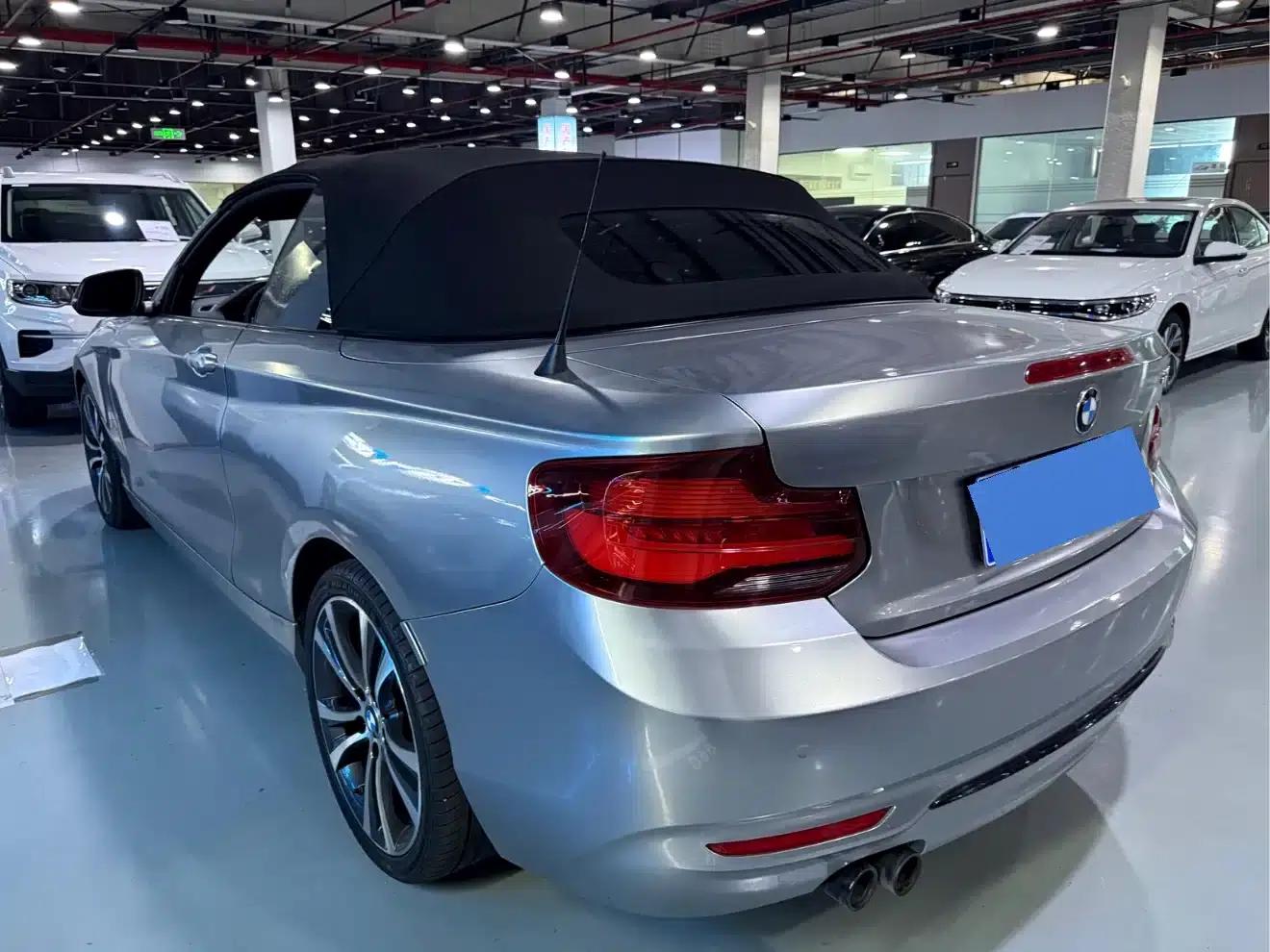2019 BMW 2 Series Imported 225i Convertible Coupe with Sport Design Package — миниатюра 15