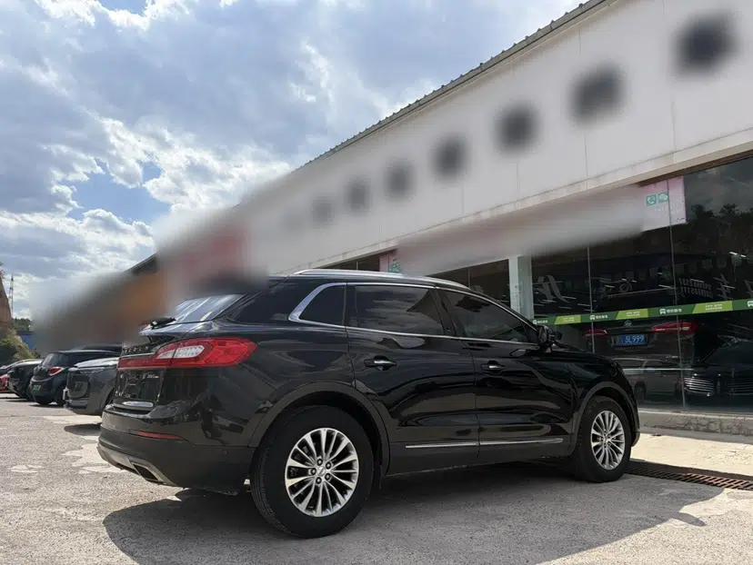 Lincoln MKX 2018 2.0T Four-Wheel Drive Zunya Edition — миниатюра 6