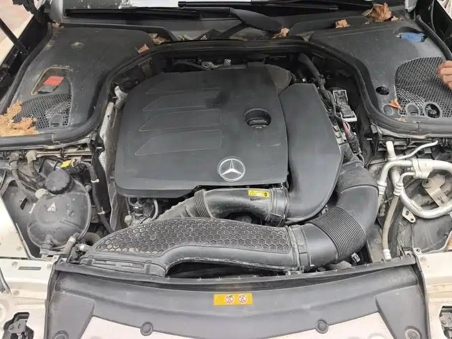 Mercedes-Benz E-Class 2019 Facelift E 300 L Fashion Model — миниатюра 10