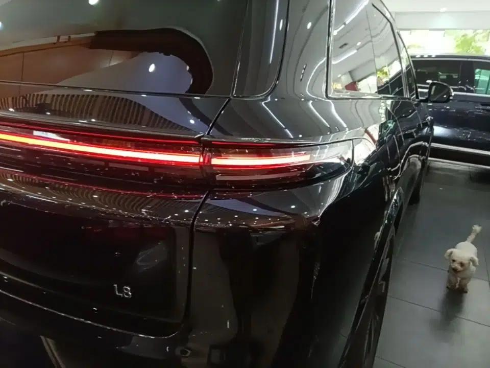 Li Auto L8 2023 Pro Model — миниатюра 9