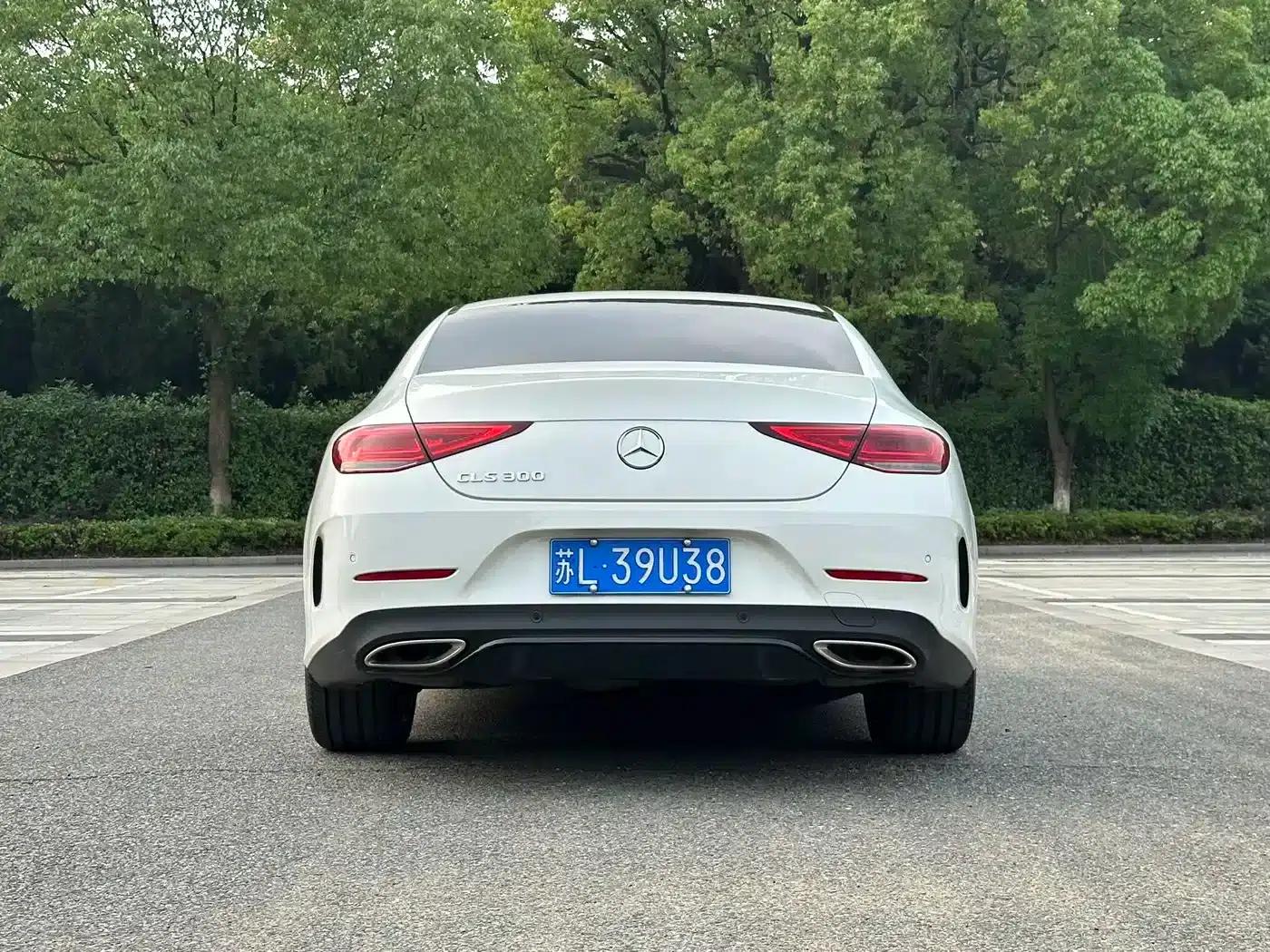 Mercedes-Benz CLS 2020 CLS 300 Dynamic — миниатюра 14