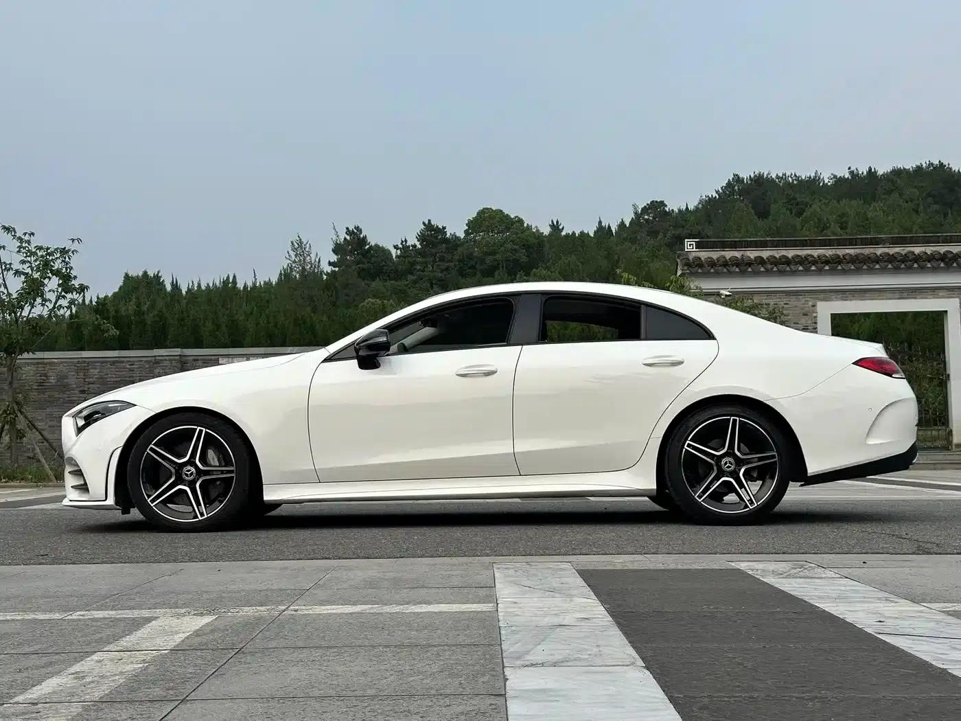 Mercedes-Benz CLS 2020 CLS 300 Dynamic — миниатюра 4
