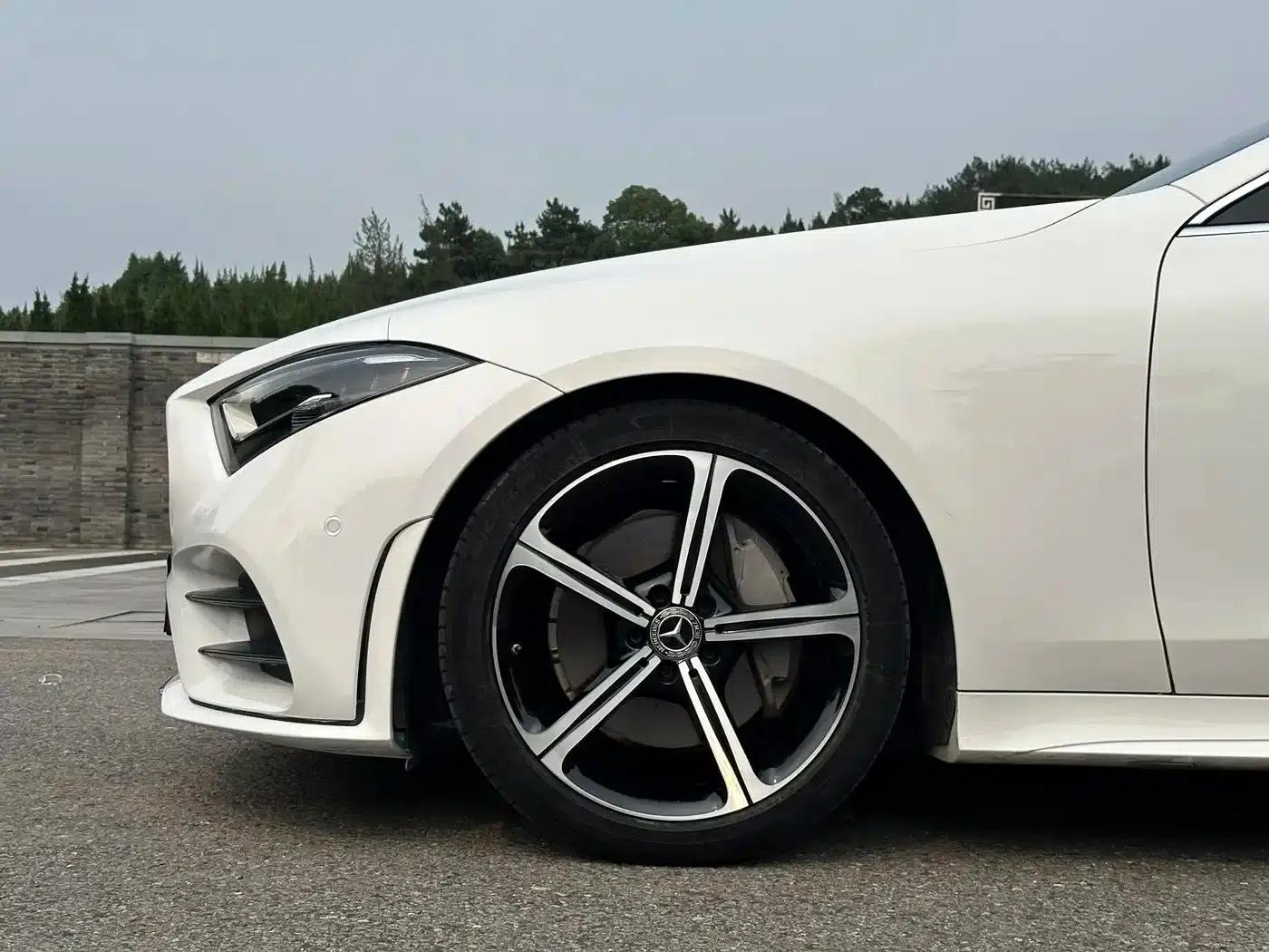 Mercedes-Benz CLS 2020 CLS 300 Luxury — миниатюра 12