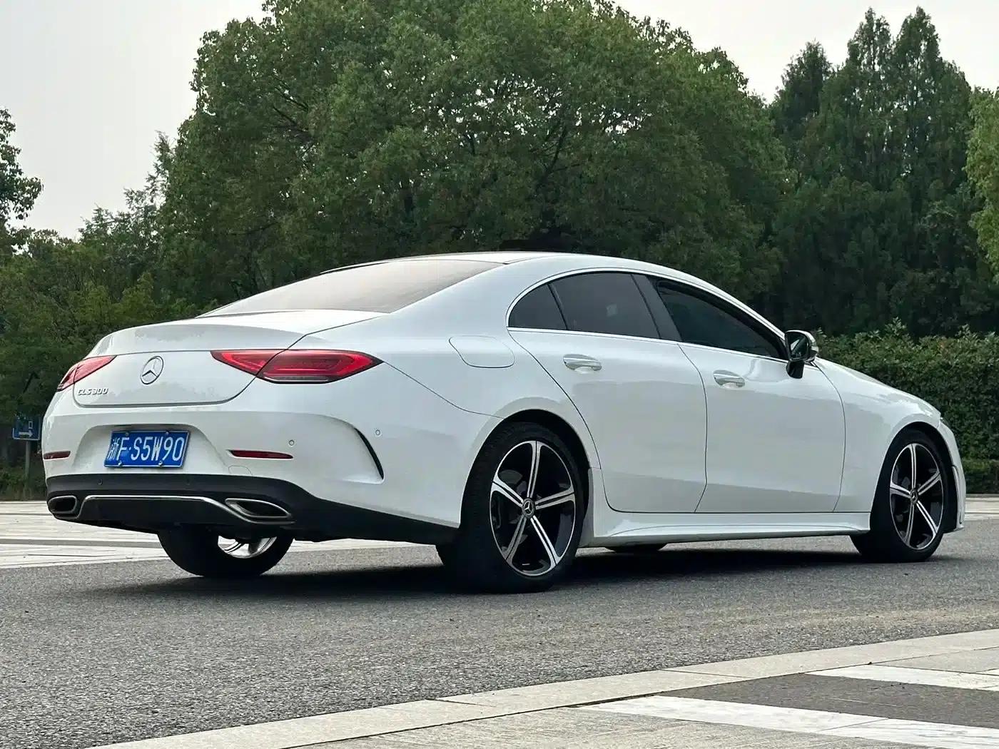 Mercedes-Benz CLS 2020 CLS 300 Luxury — миниатюра 15