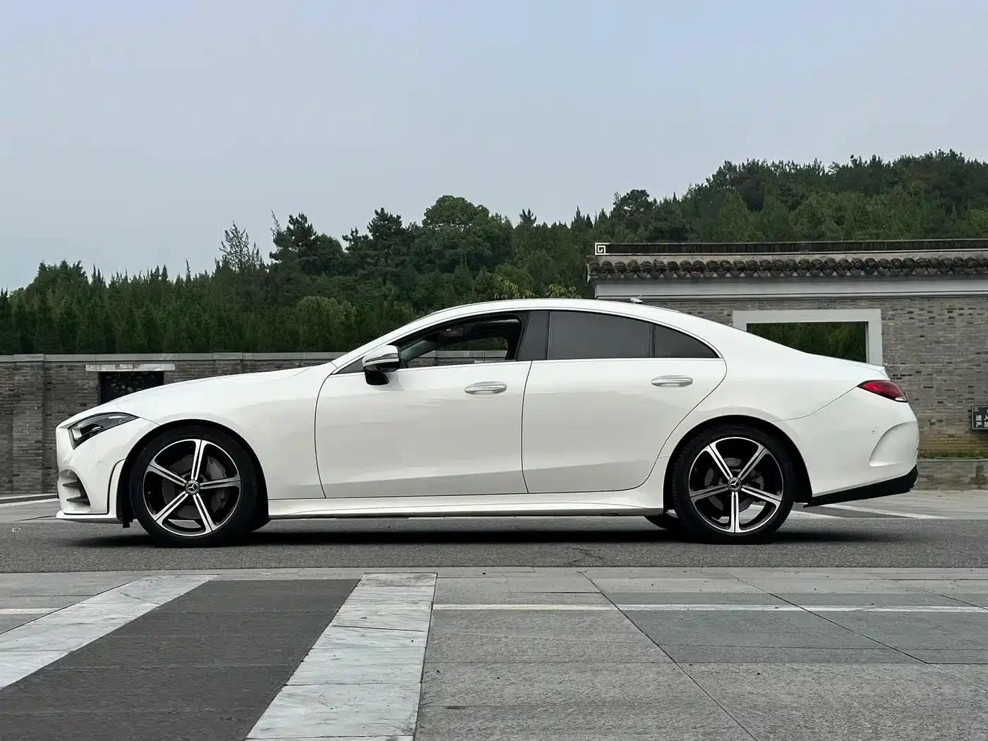 Mercedes-Benz CLS 2020 CLS 300 Luxury — миниатюра 4