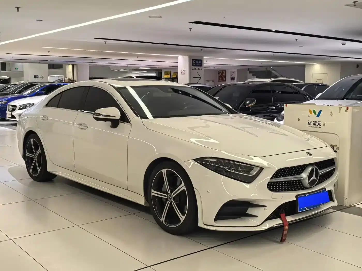 Mercedes-Benz CLS 2020 CLS 300 Luxury — миниатюра 3