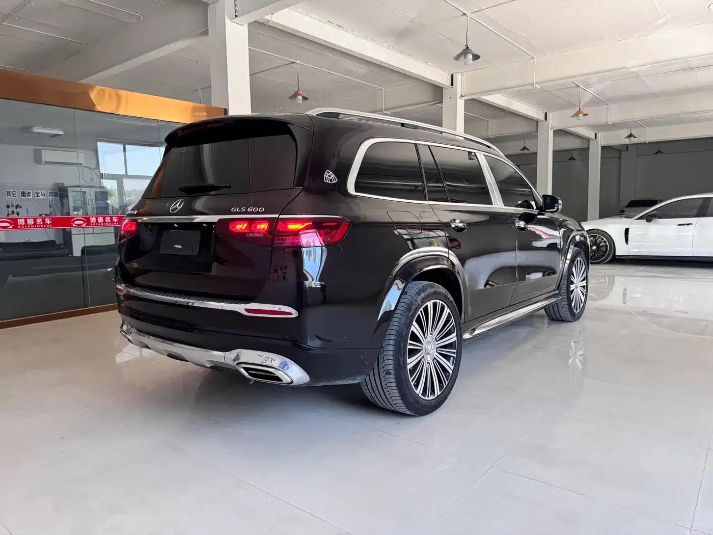 2022 Maybach GLS 600 4MATIC Elegant Edition — миниатюра 6