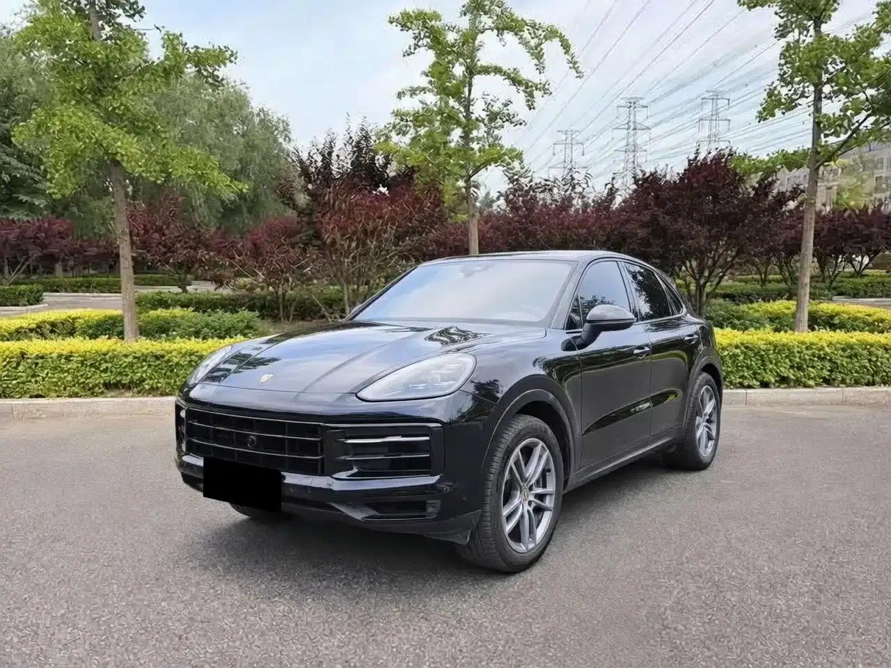 Cayenne 2024 Cayenne 3.0T — миниатюра 1