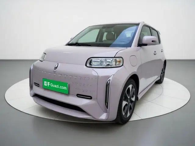 ORA White Cat 2022 Xiaoyue Mao Edition 360 km Luxury Model Lithium NMC