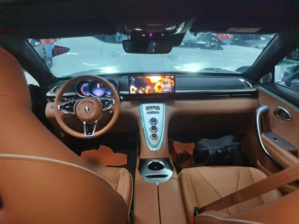ORA Lightning Cat 2022 555 km Luxury Edition — миниатюра 12