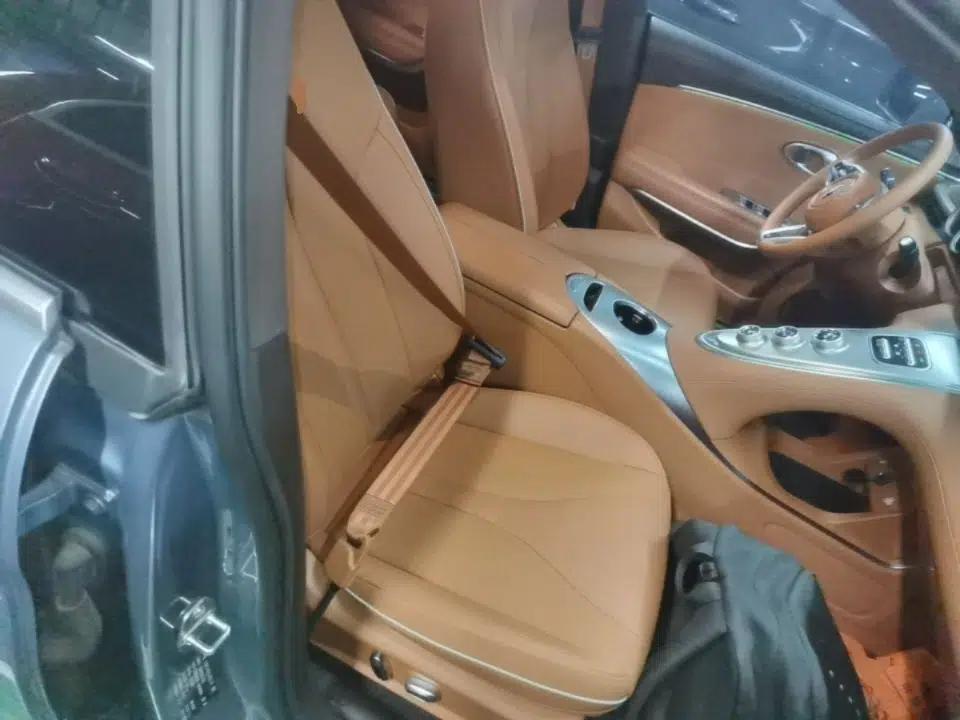 ORA Lightning Cat 2022 555 km Luxury Edition — миниатюра 19