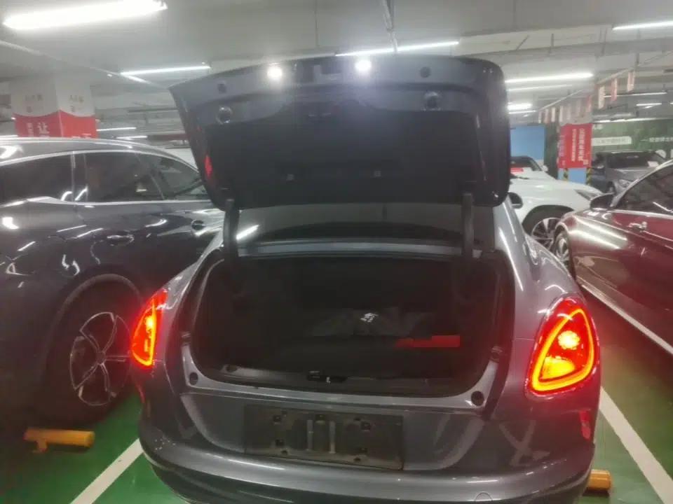ORA Lightning Cat 2022 555 km Luxury Edition — миниатюра 22