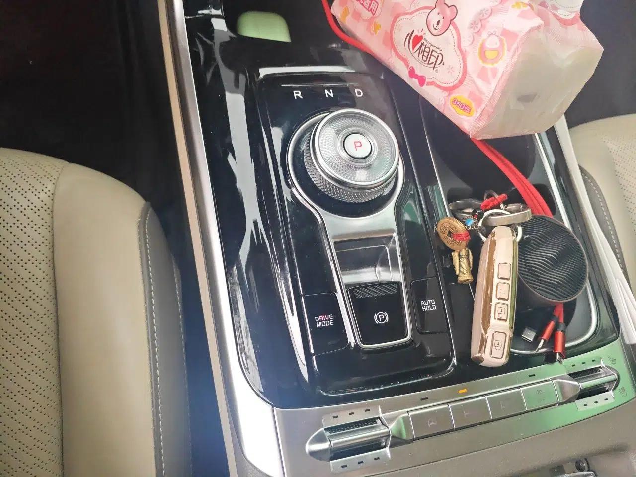 Kia Carnival 2021 2.0T Flagship Edition — миниатюра 14
