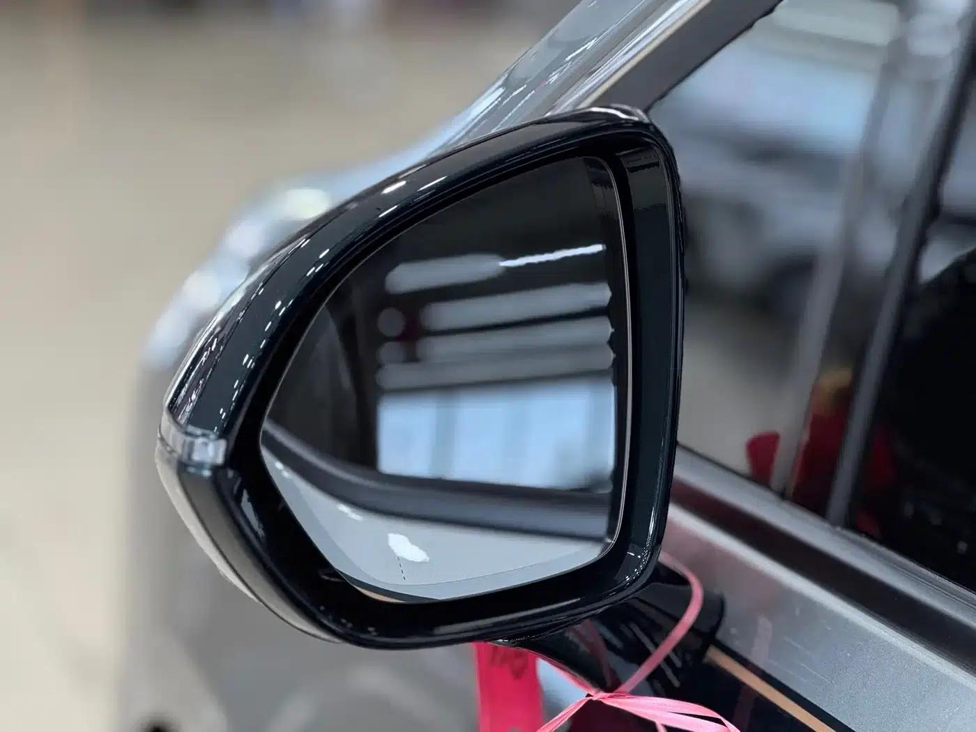 Century 2025 2.0T Four-Seat Private Edition — миниатюра 10