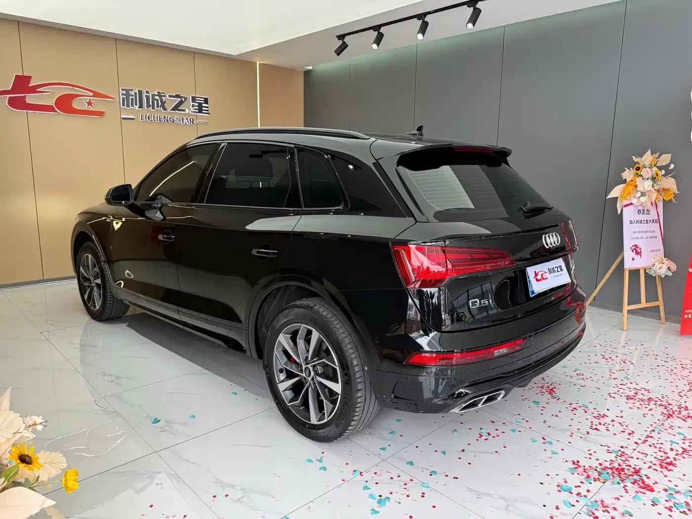 Audi Q5L 2024 40 TFSI Luxury Dynamic — миниатюра 9