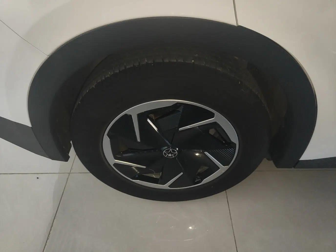 Venucia VX6 2023 520 Max — миниатюра 11