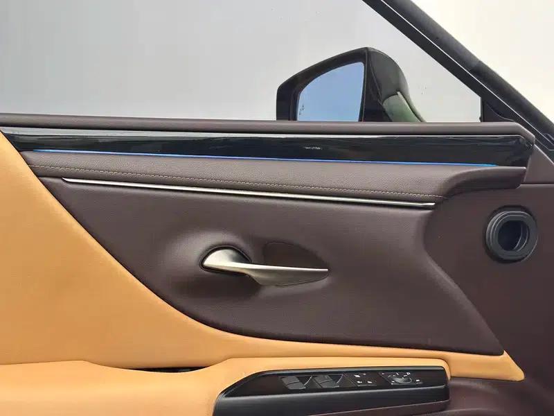 Lexus ES 2020 200 Premium Edition (China VI Emission Standard) — миниатюра 10