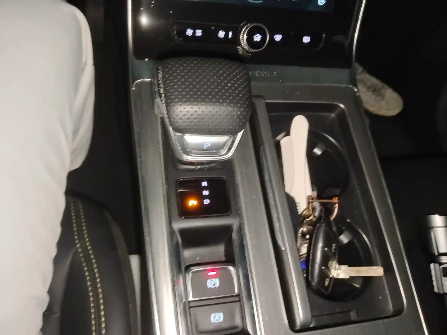 Roewe RX5 New Energy 2020 ePLUS National Trend Ronglin Luxury Edition — миниатюра 14