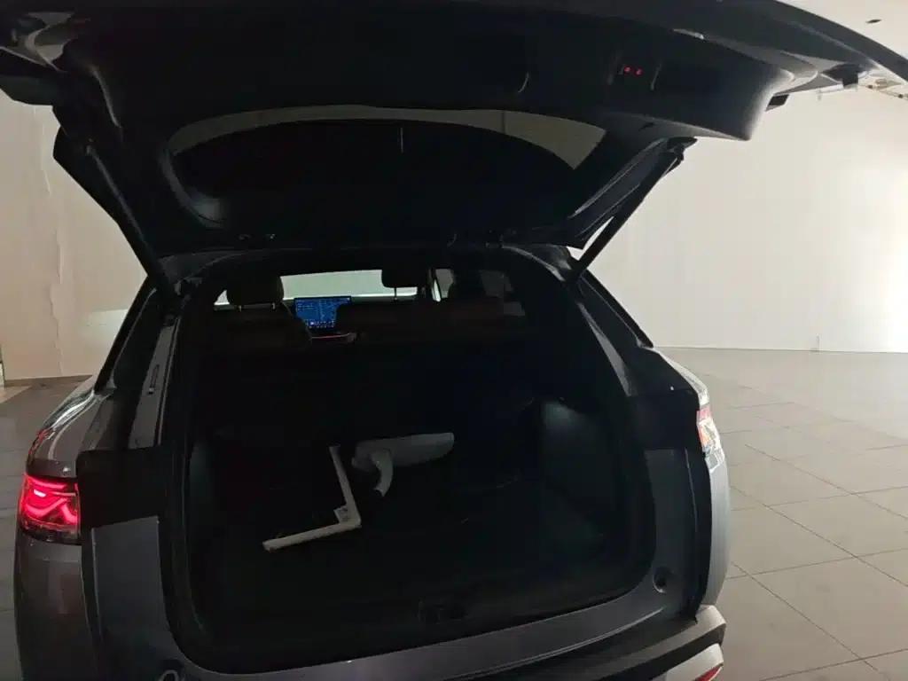Song L DM-i 2025 Smart Driving Edition 160km/h Superior Model — миниатюра 19