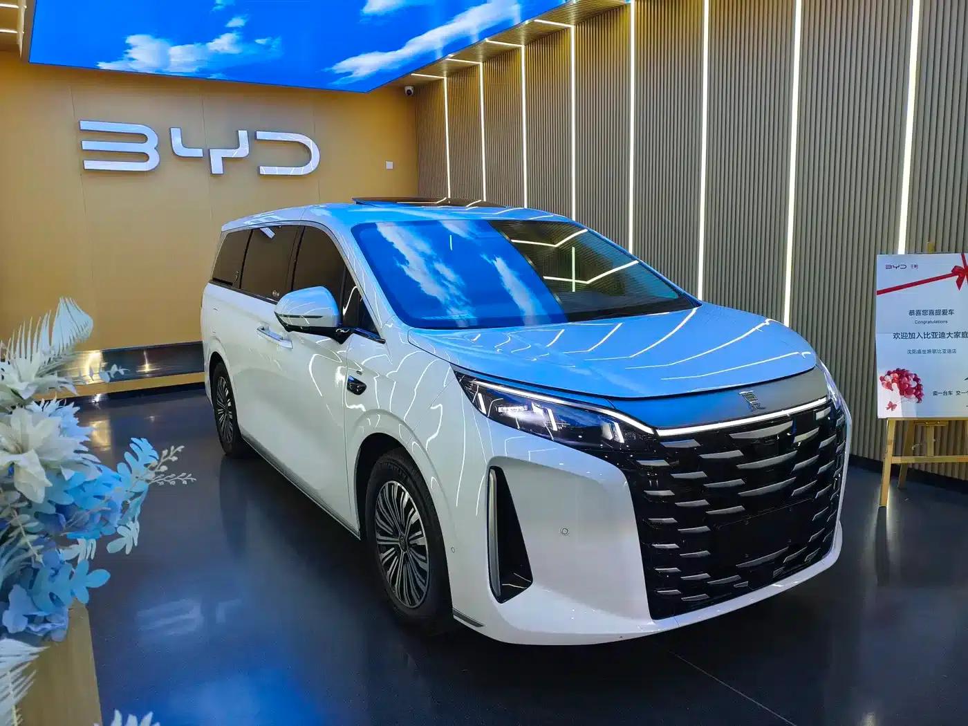 Summer 2025 DM-i 1.5T 180km Excellent Edition — миниатюра 2