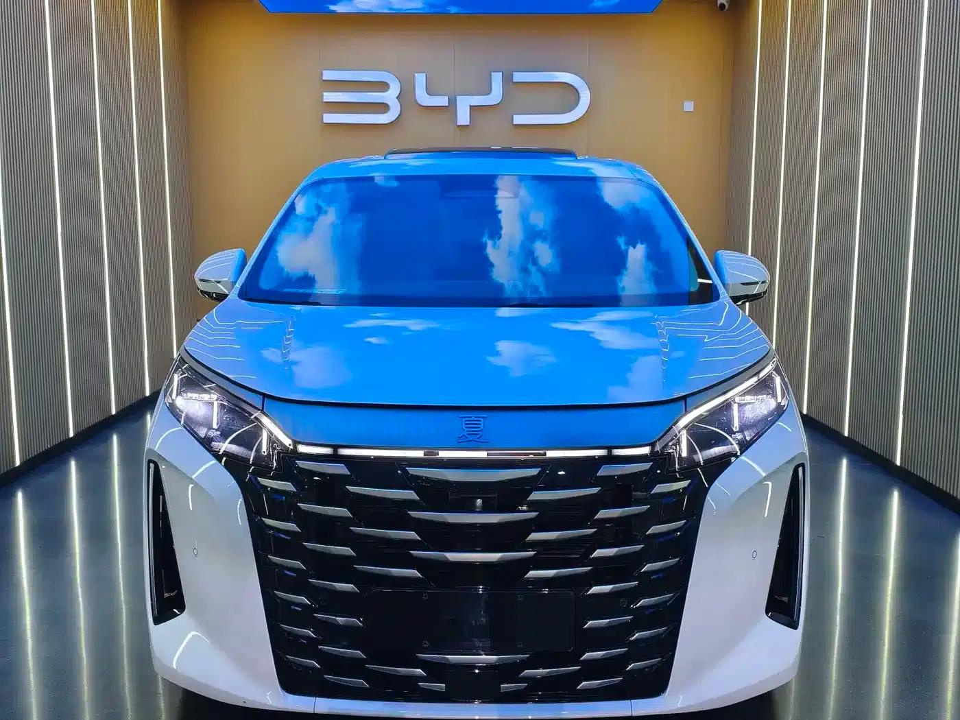 Summer 2025 DM-i 1.5T 180km Excellent Edition — миниатюра 3