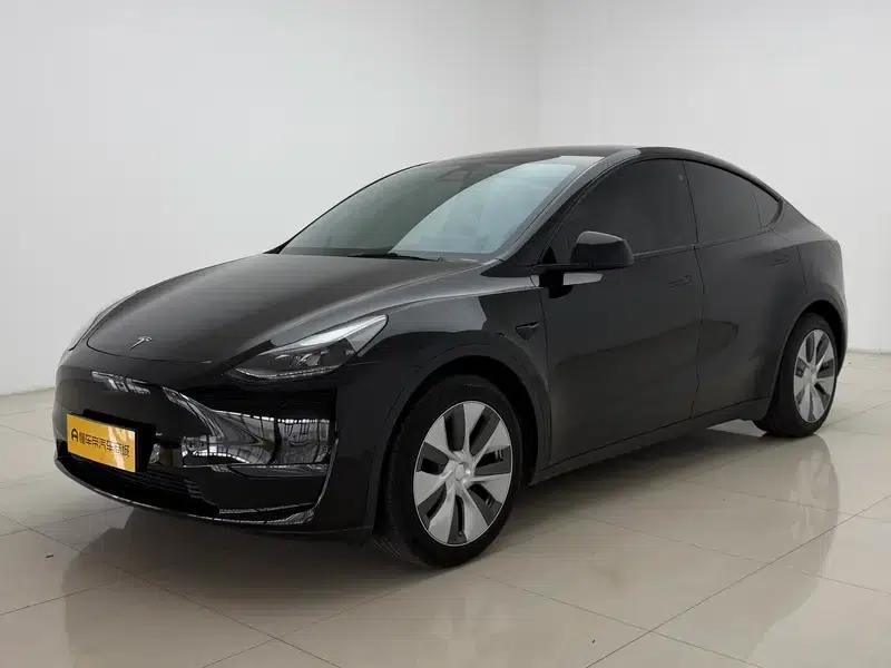 Model Y 2021 Standard Range Rear-Wheel Drive — миниатюра 1