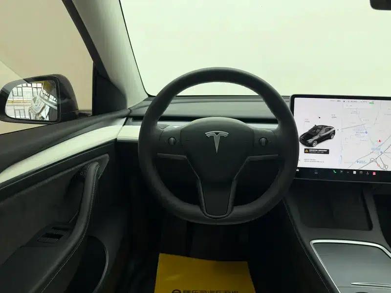 Model Y 2021 Standard Range Rear-Wheel Drive — миниатюра 16