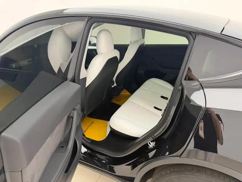 Model Y 2021 Standard Range Rear-Wheel Drive — миниатюра 18